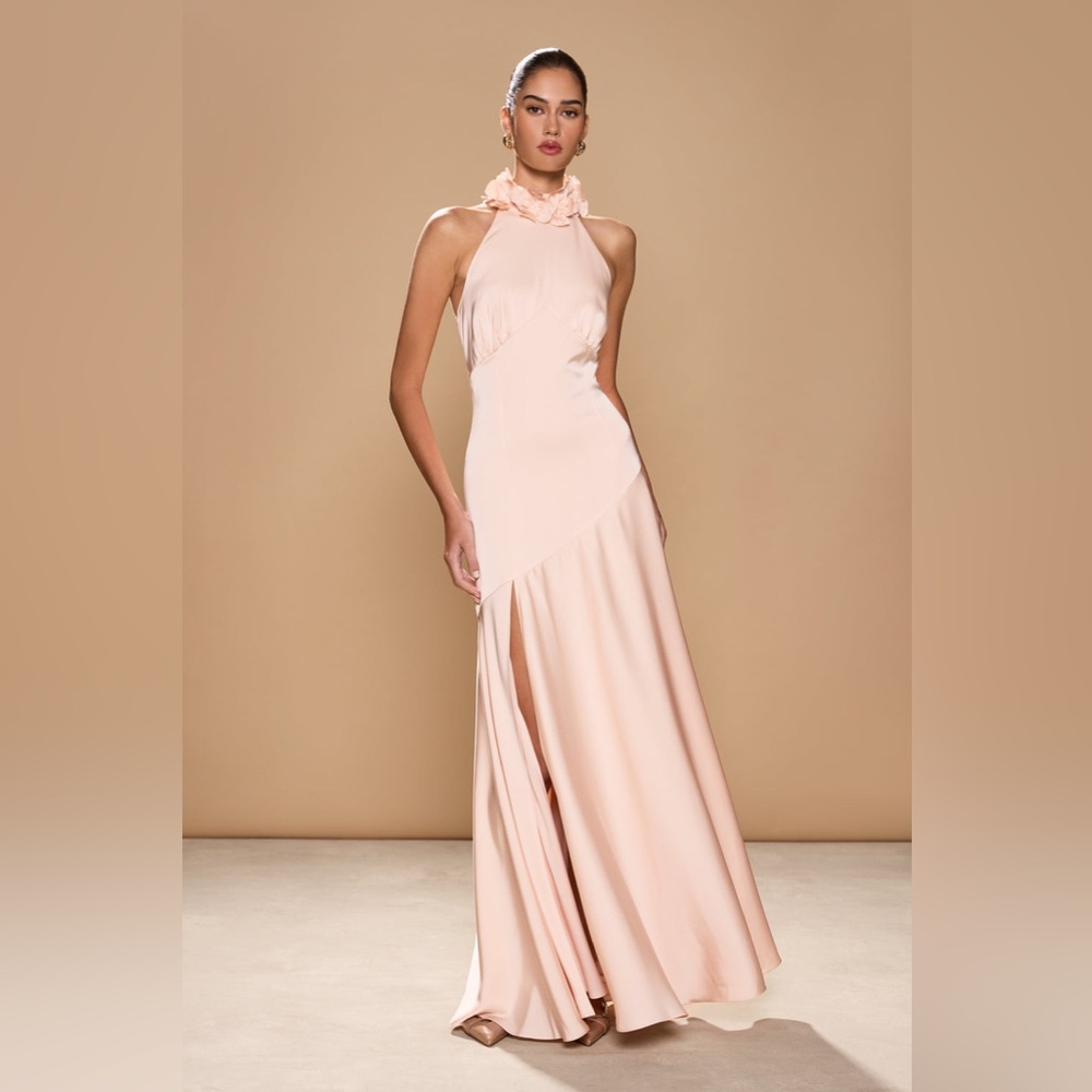 Sonya Moda Noelle gown Maxi Dress in Rose Wedding Guest Cocktail size S NWT - Picture 2 of 10